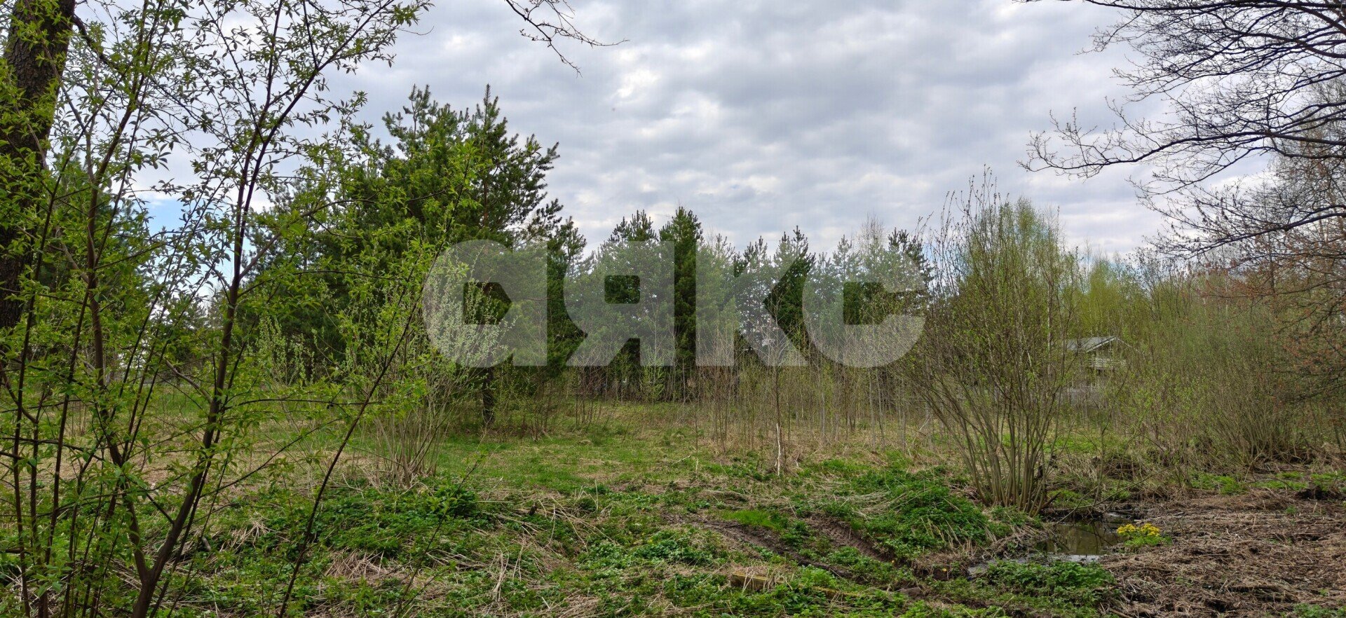 Фото №6: Земельный участок под ИЖС 22.5 сот. - КП Зелёная опушка-2, 255