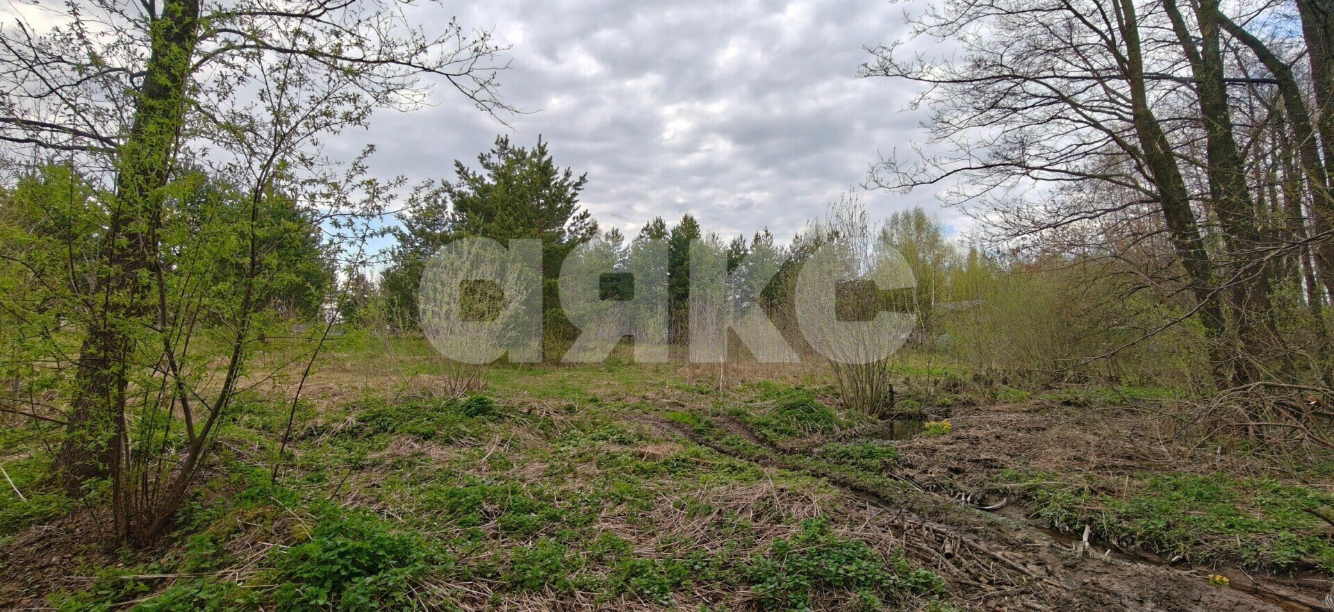 Фото №8: Земельный участок под ИЖС 22.5 сот. - КП Зелёная опушка-2, 255