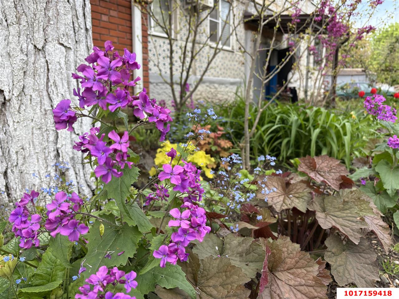 Фото №2: 2-комнатная квартира 47 м² - Краснодар, Прикубанский внутригородской округ, мкр. Славянский, ул. Азовская, 16