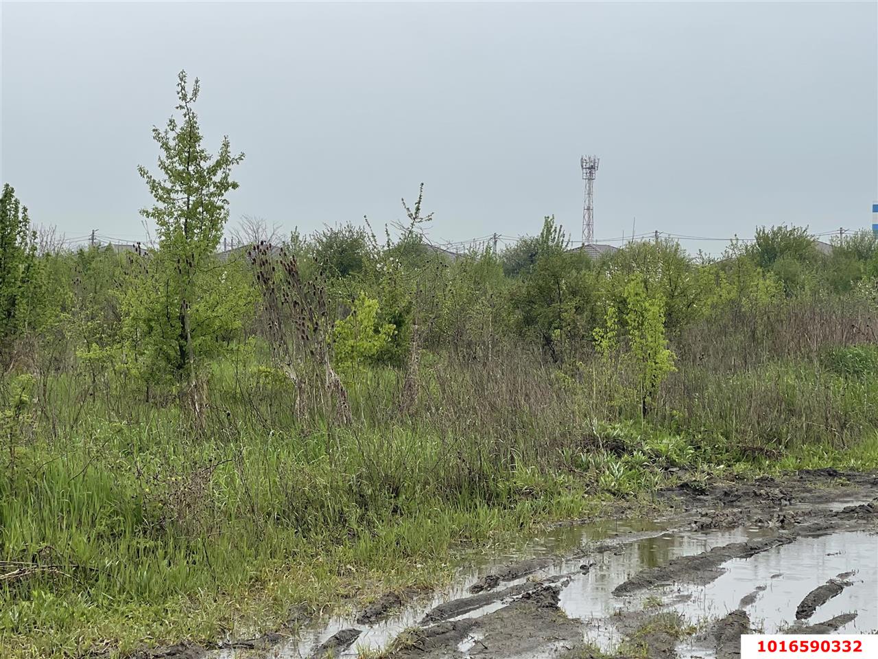 Фото №5: Земельный участок под ИЖС - Тлюстенхабль