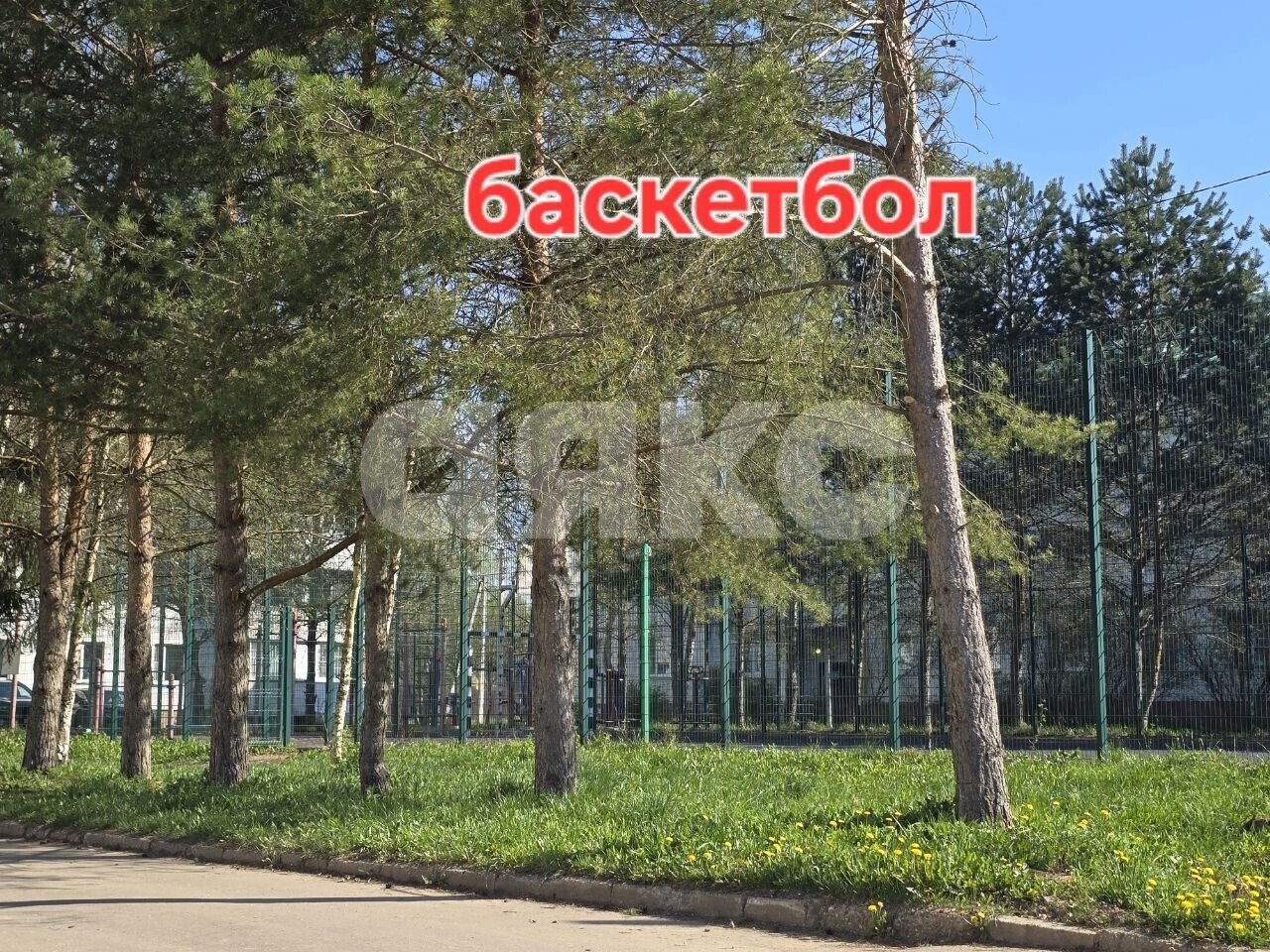 Фото №14: Земельный участок под ИЖС 6 сот. - Новая Ольховка, ул. Северная