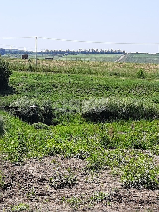 Фото №5: Участок садоводство 100 сот. - Варениковская, ул. Красная