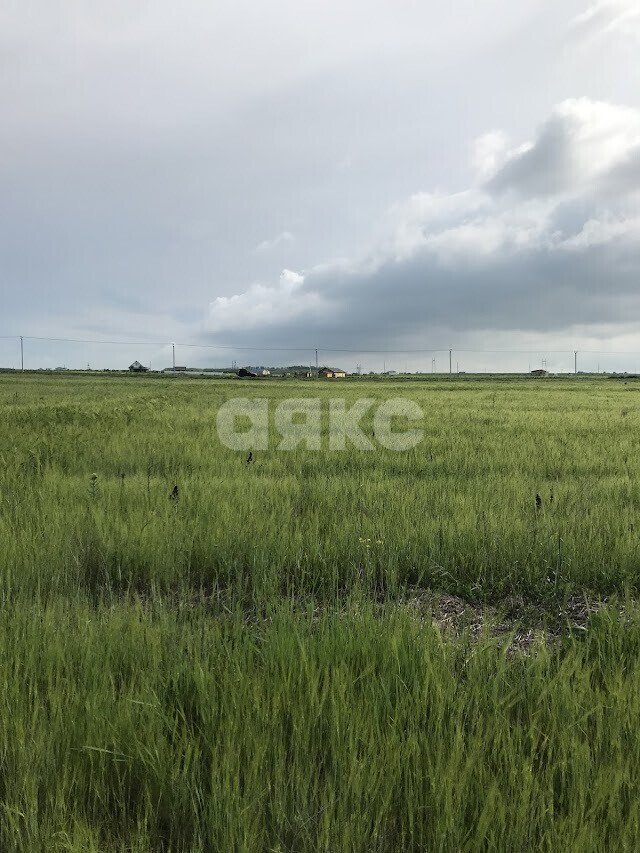 Фото №6: Участок садоводство 100 сот. - Варениковская, ул. Красная