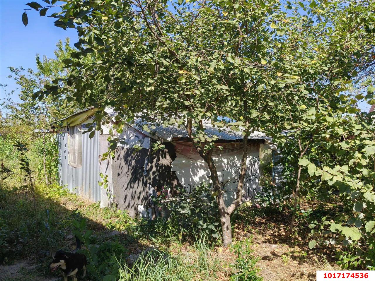 Фото №9: Дом 73 м² + 6 сот. - Южная Кубань, мкр. Карасунский внутригородской округ, ул. Алычовая, 350