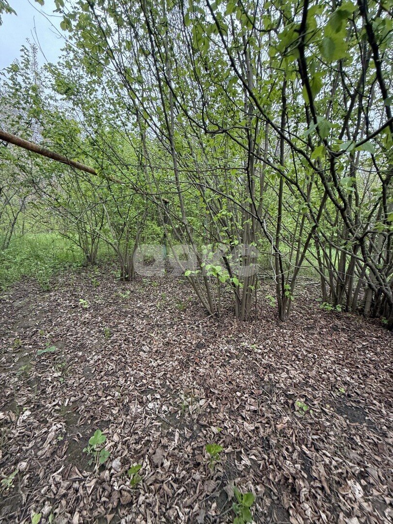 Фото №13: Земельный участок под ИЖС 24 сот. - Причтовский, ул. Ленина, 23