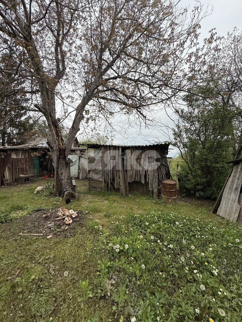 Фото №4: Земельный участок под ИЖС 24 сот. - Причтовский, ул. Ленина, 23