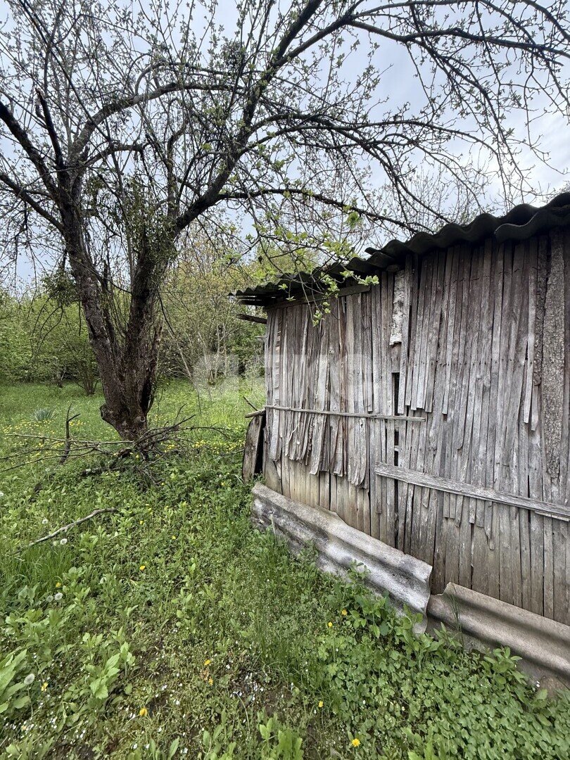Фото №7: Земельный участок под ИЖС 24 сот. - Причтовский, ул. Ленина, 23
