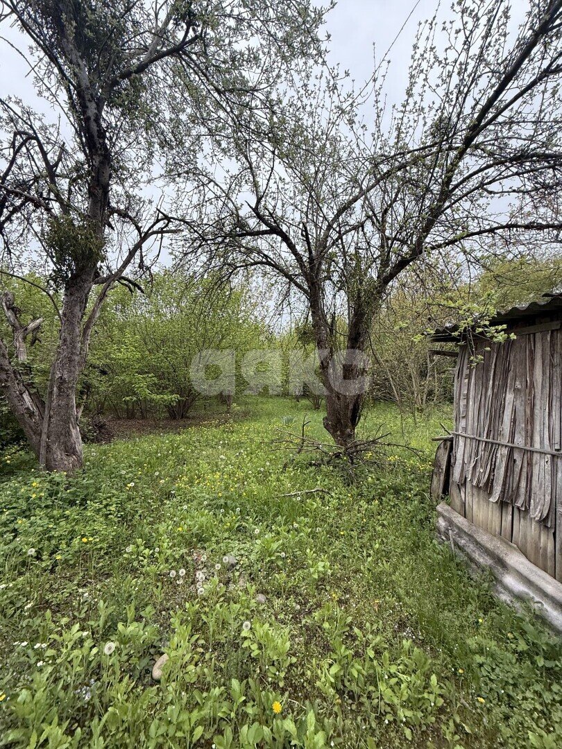 Фото №3: Земельный участок под ИЖС 24 сот. - Причтовский, ул. Ленина, 23