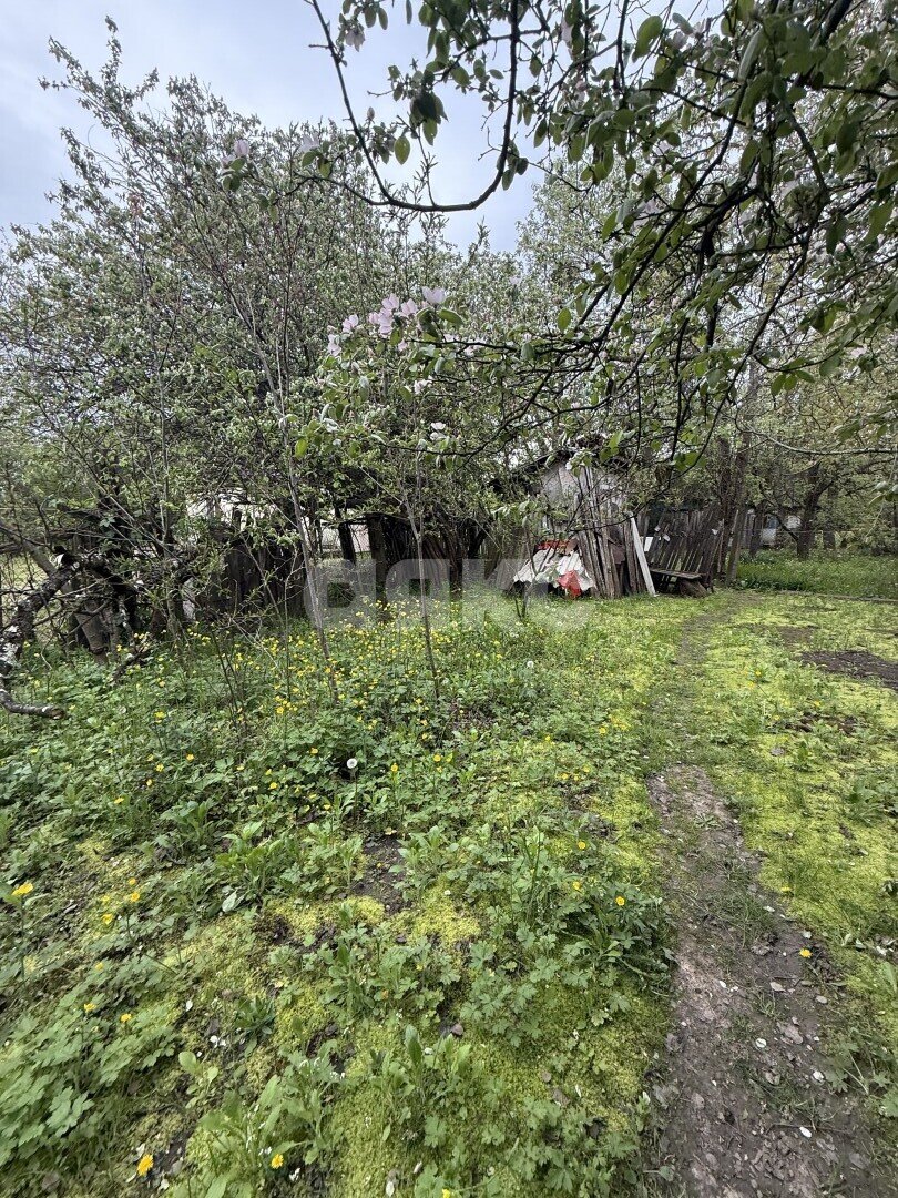 Фото №10: Земельный участок под ИЖС 24 сот. - Причтовский, ул. Ленина, 23