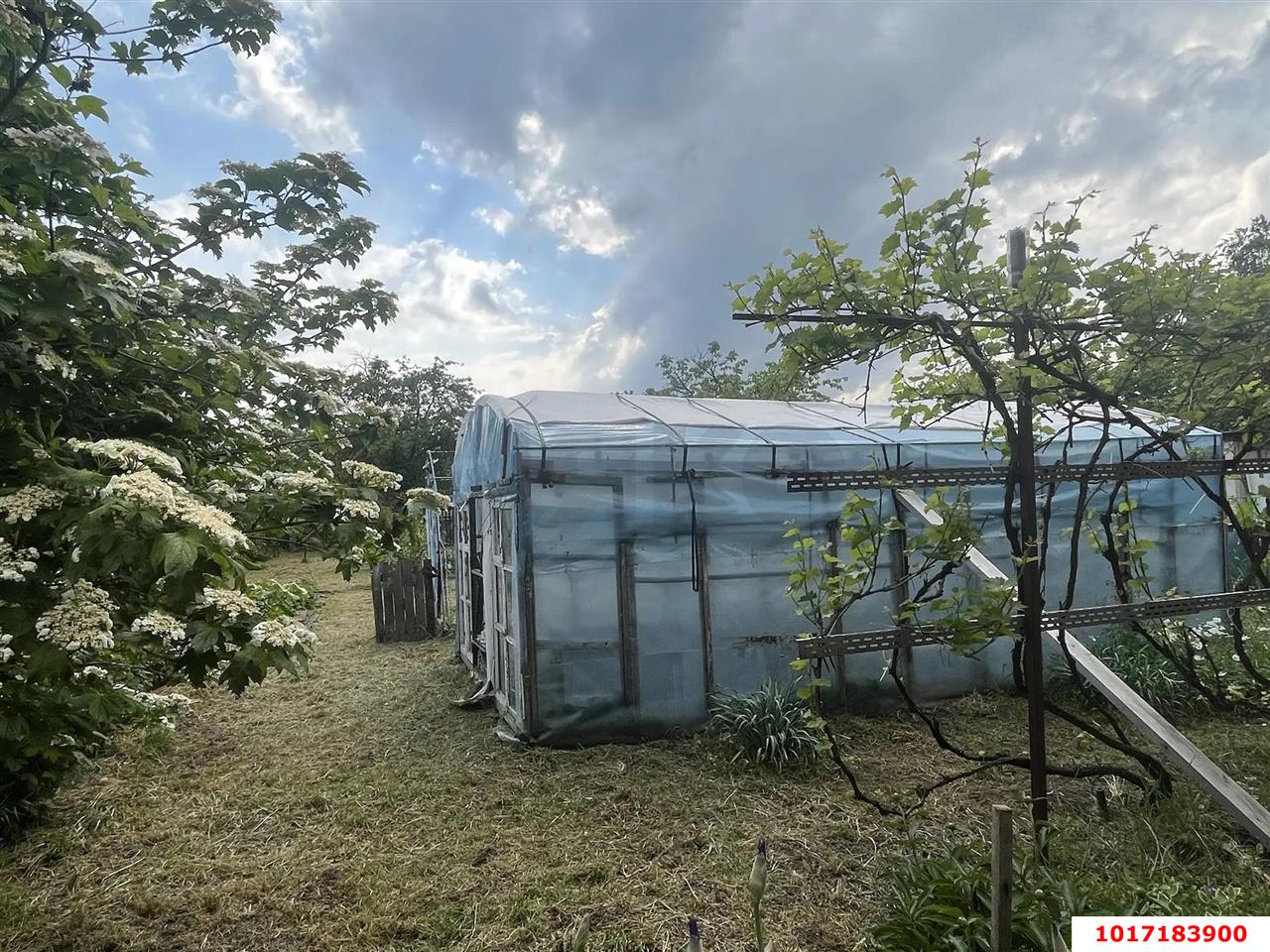 Фото №6: Дом 45 м² + 8.02 сот. - Октябрьский, Прикубанский внутригородской округ, ст Луч, ул. Садовая, 84