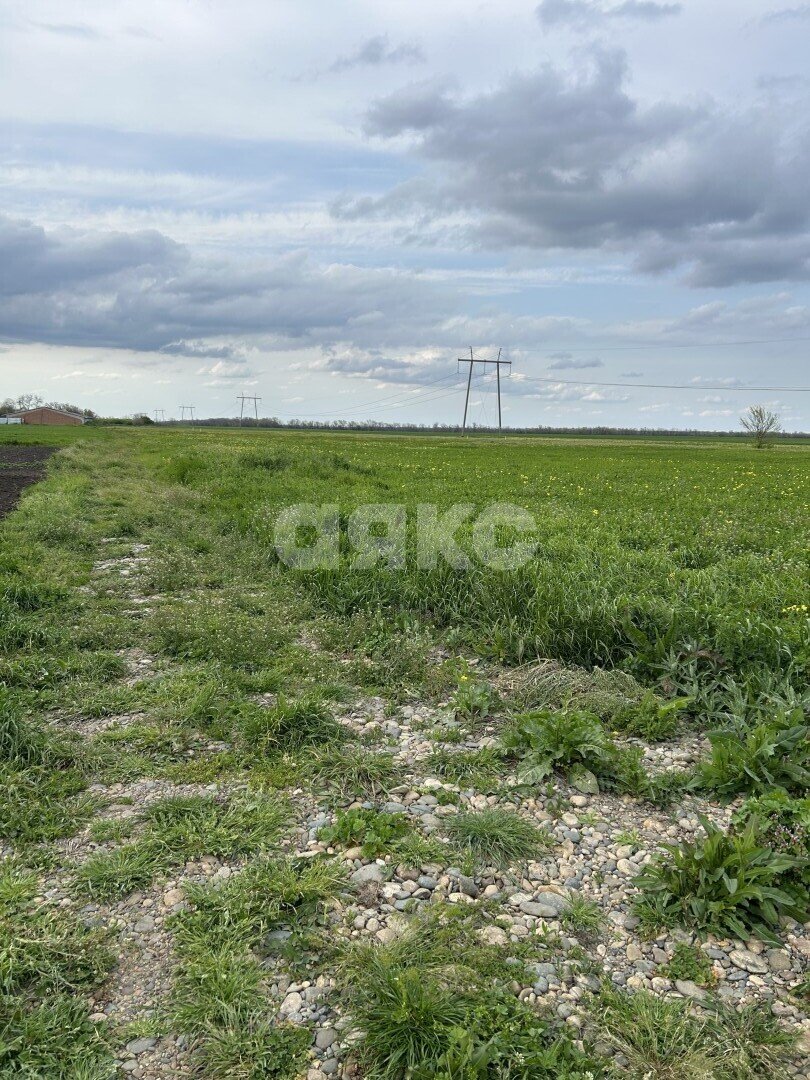 Фото №2: Личное подсобное хозяйство 10 сот. - Кирова, ул. Заводская