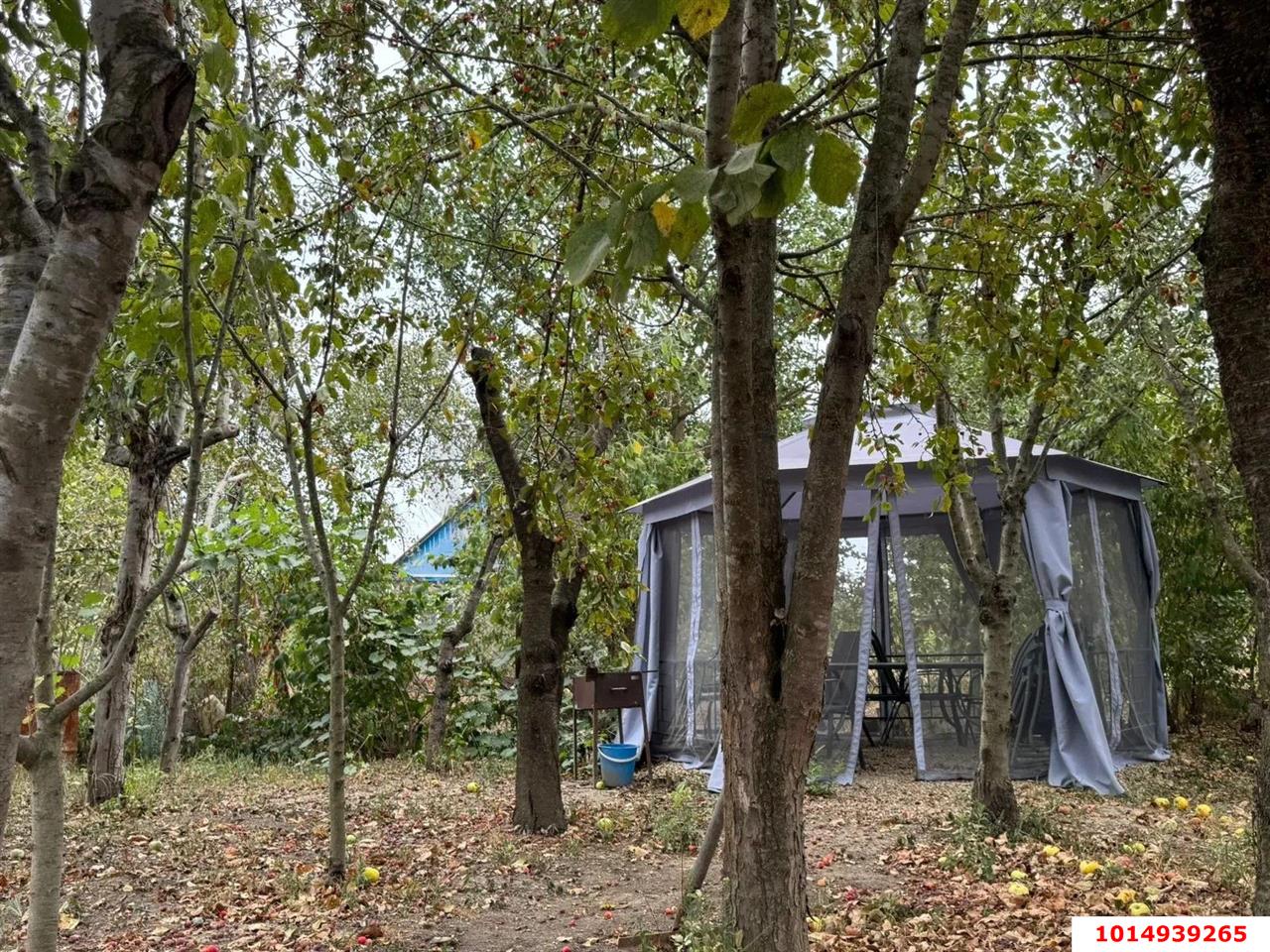 Фото №3: Личное подсобное хозяйство 4.12 сот. - Елизаветинская, Прикубанский внутригородской округ, ст Речник, ул. Капитанская, 264