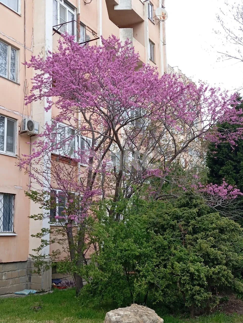 Фото №17: 2-комнатная квартира 54 м² - Сукко, ул. Желанная, 9