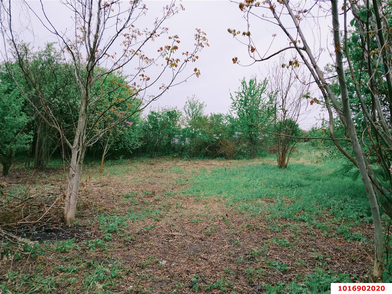 Фото №3: Личное подсобное хозяйство - Агроном, мкр. Карасунский внутригородской округ, ул. Урожайная, 50