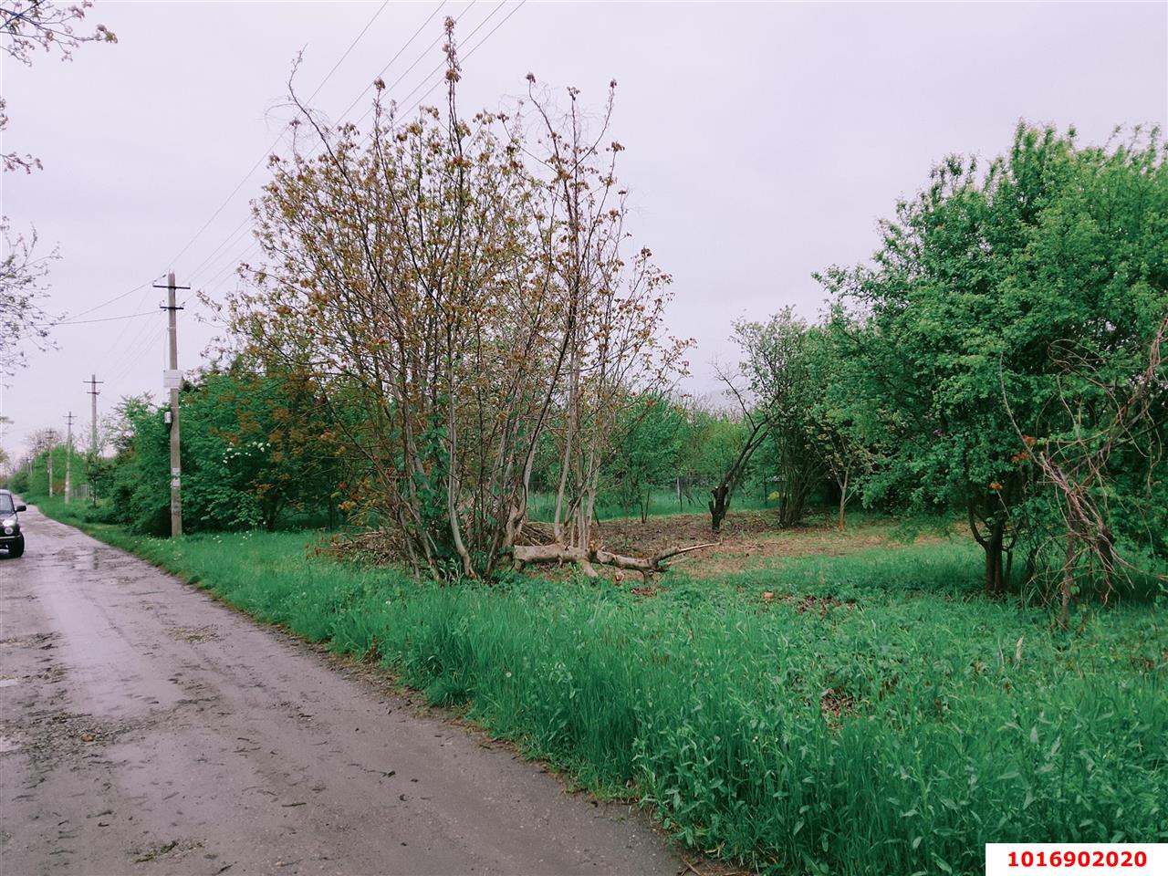 Фото №2: Личное подсобное хозяйство - Агроном, мкр. Карасунский внутригородской округ, ул. Урожайная, 50
