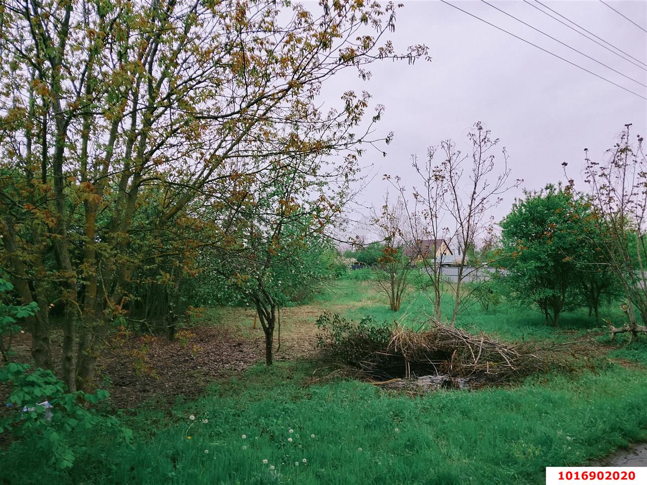 Фото №1: Личное подсобное хозяйство - Агроном, мкр. Карасунский внутригородской округ, ул. Урожайная, 50