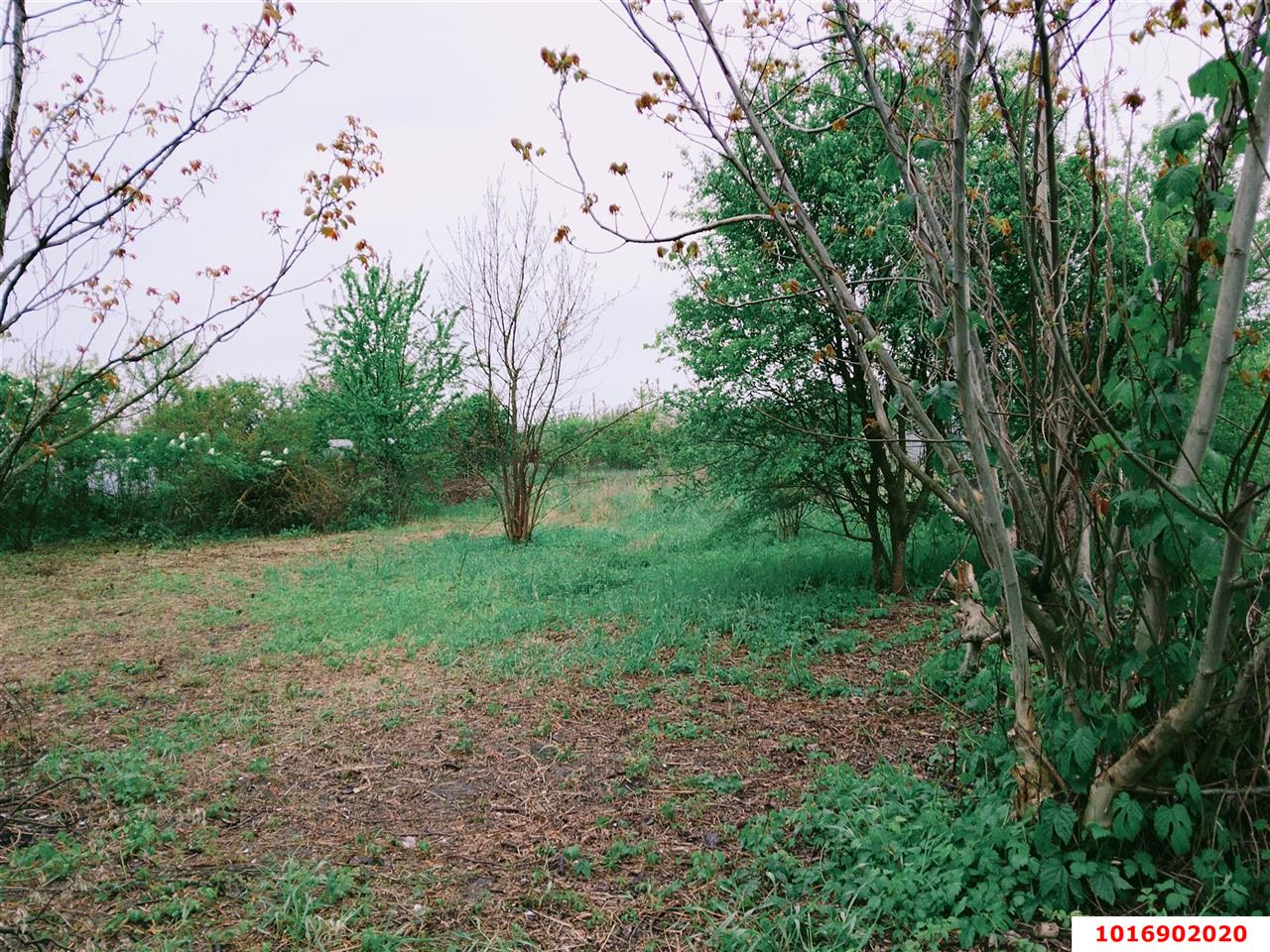 Фото №4: Личное подсобное хозяйство - Агроном, мкр. Карасунский внутригородской округ, ул. Урожайная, 50