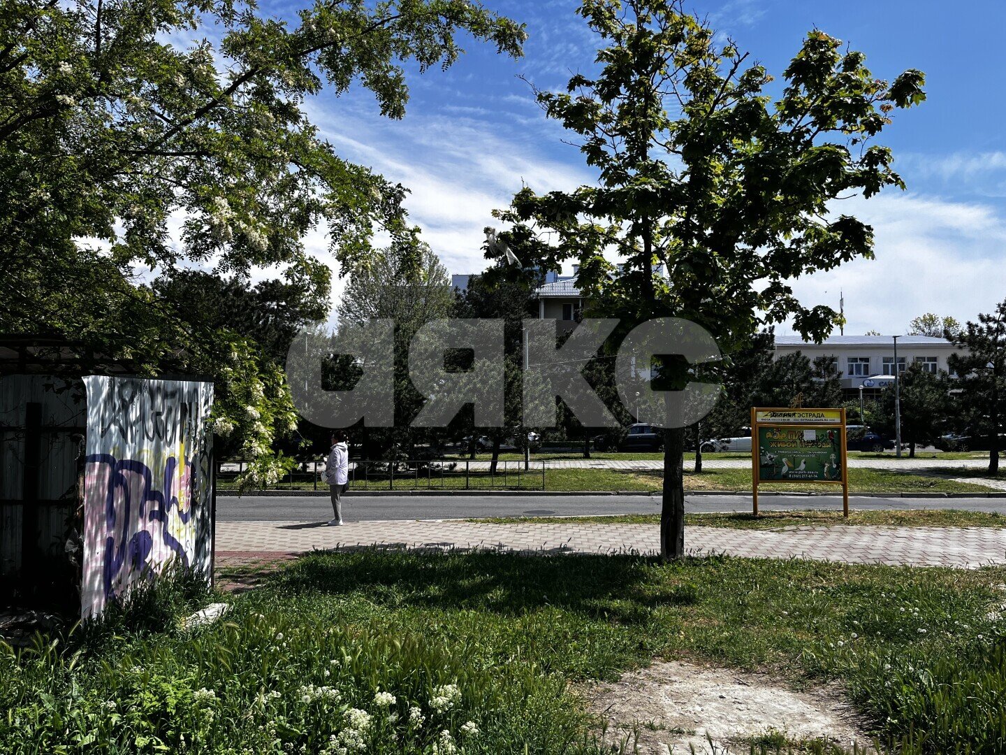 Фото №20: Коммерческая земля 2.42 сот. - Анапа, пр-кт Революции, 11