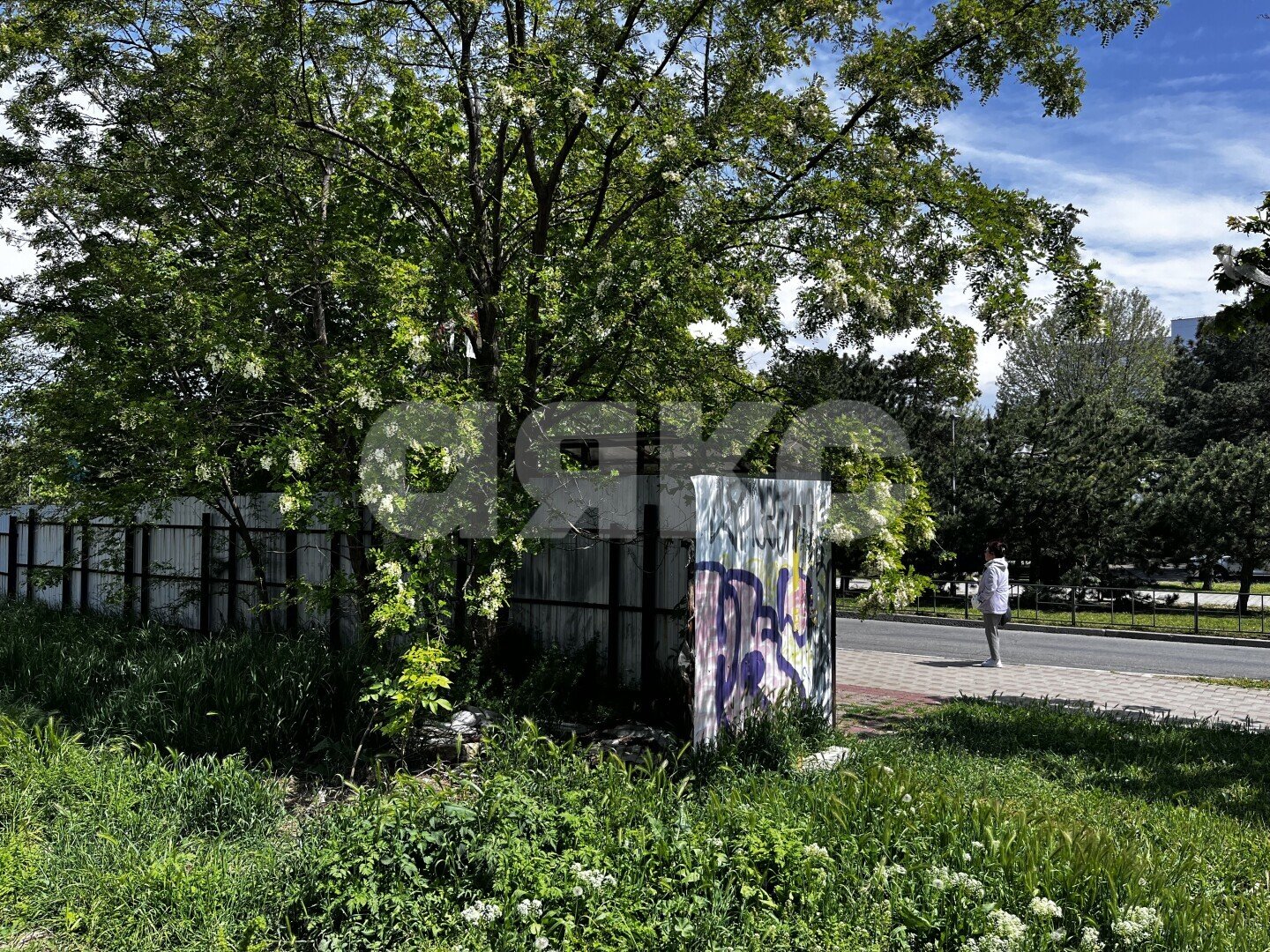 Фото №21: Коммерческая земля 2.42 сот. - Анапа, пр-кт Революции, 11