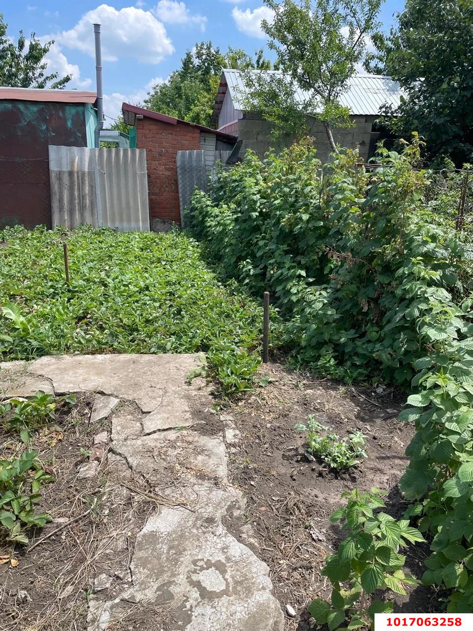 Фото №2: Личное подсобное хозяйство 4 сот. - Берёзовый, Прикубанский внутригородской округ, мкр. СНТ Витаминовец, ул. Абрикосовая, 30