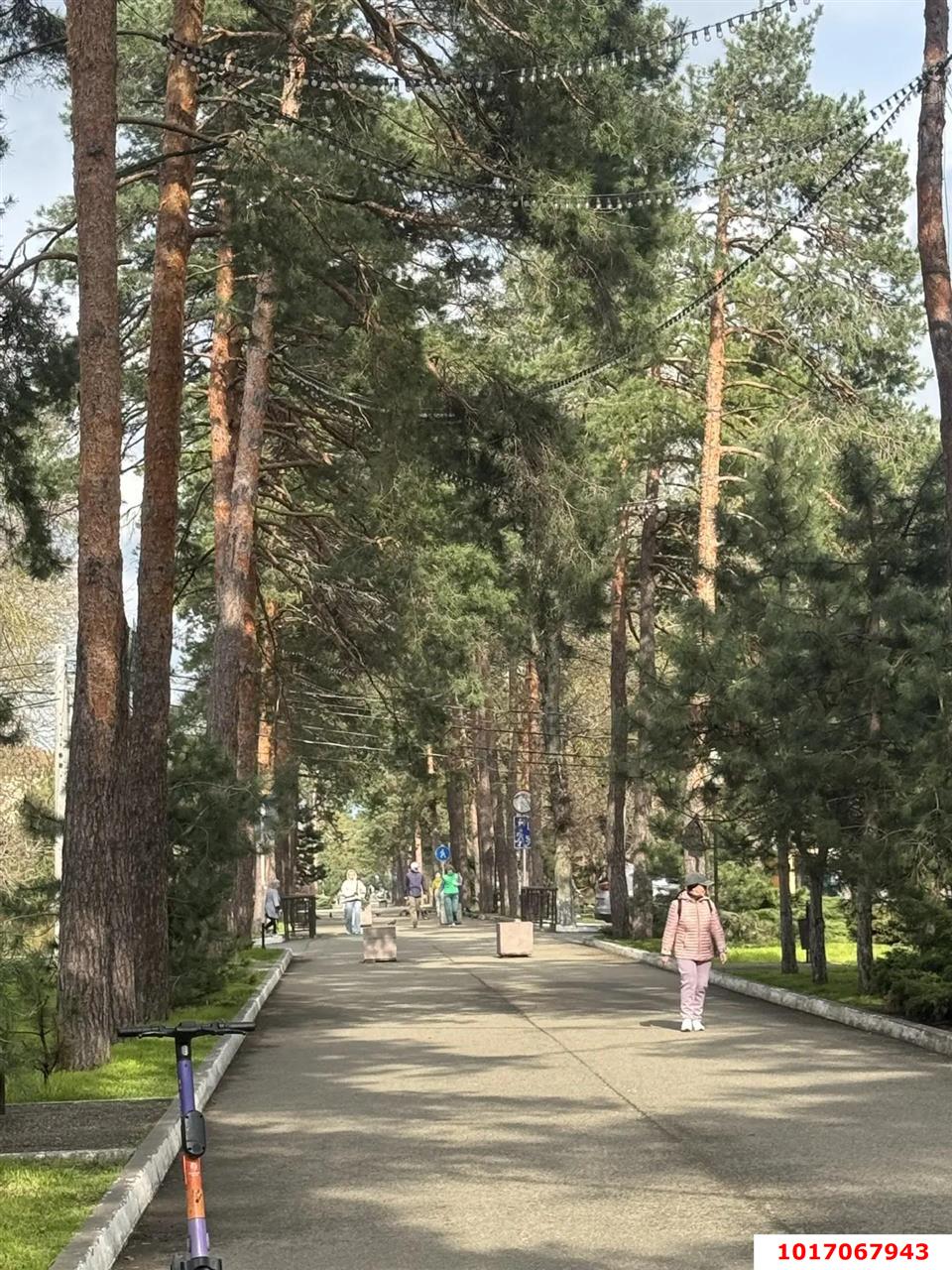 Фото №8: Личное подсобное хозяйство - Горячий Ключ, мкр. Курортная Зона, ул. Радищева, 26
