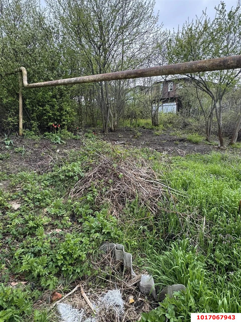 Фото №5: Личное подсобное хозяйство - Горячий Ключ, мкр. Курортная Зона, ул. Радищева, 26