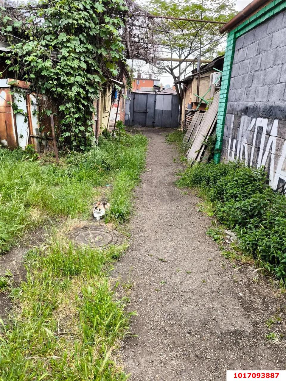 Фото №13: Часть дома 30 м² + 0.32 сот. - Краснодар, Западный внутригородской округ, мкр. Центральный, ул. имени Калинина, 307