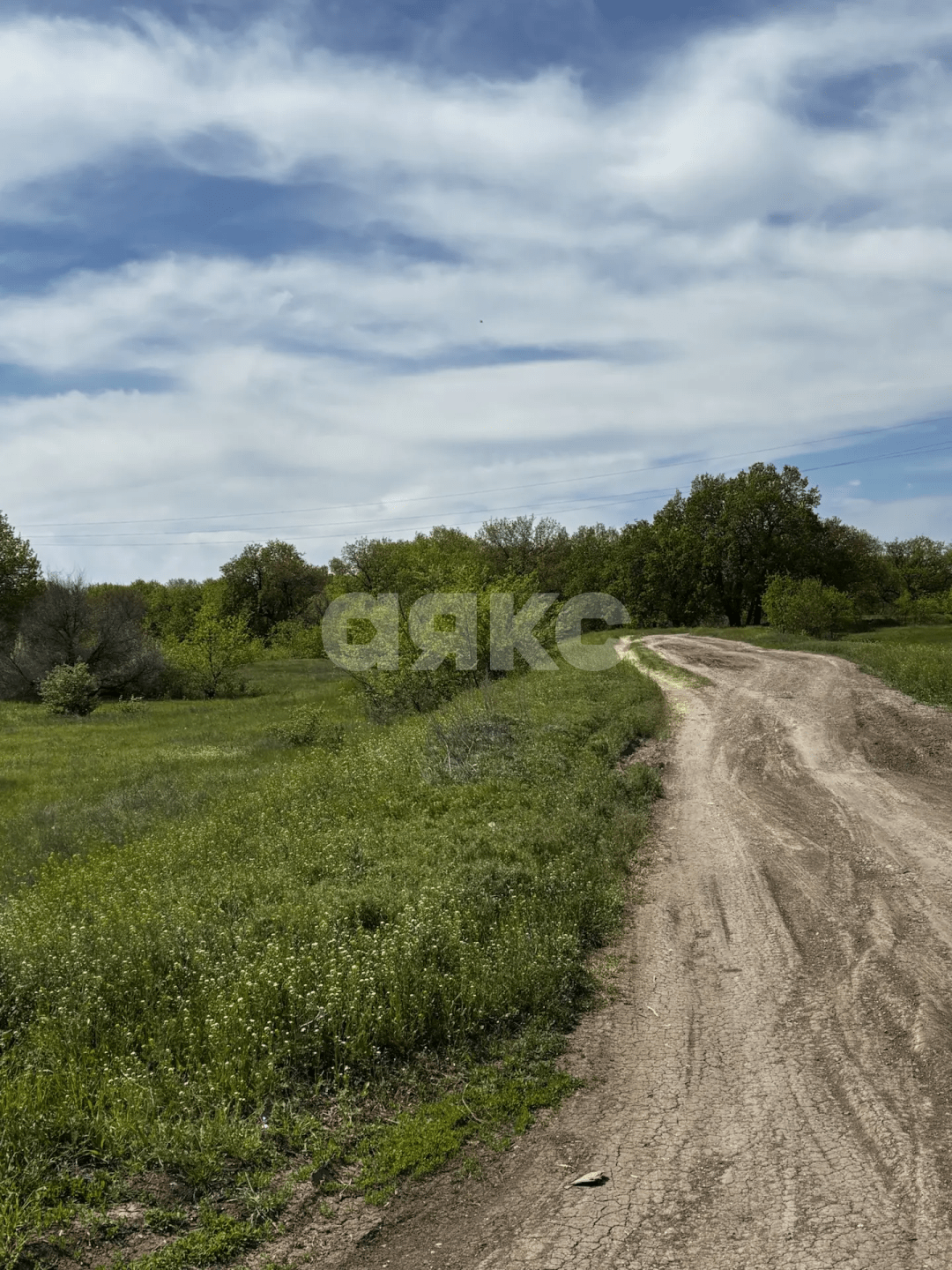 Фото №7: Коммерческая земля 8.8 сот. - Зональный, ул. Центральная, 27