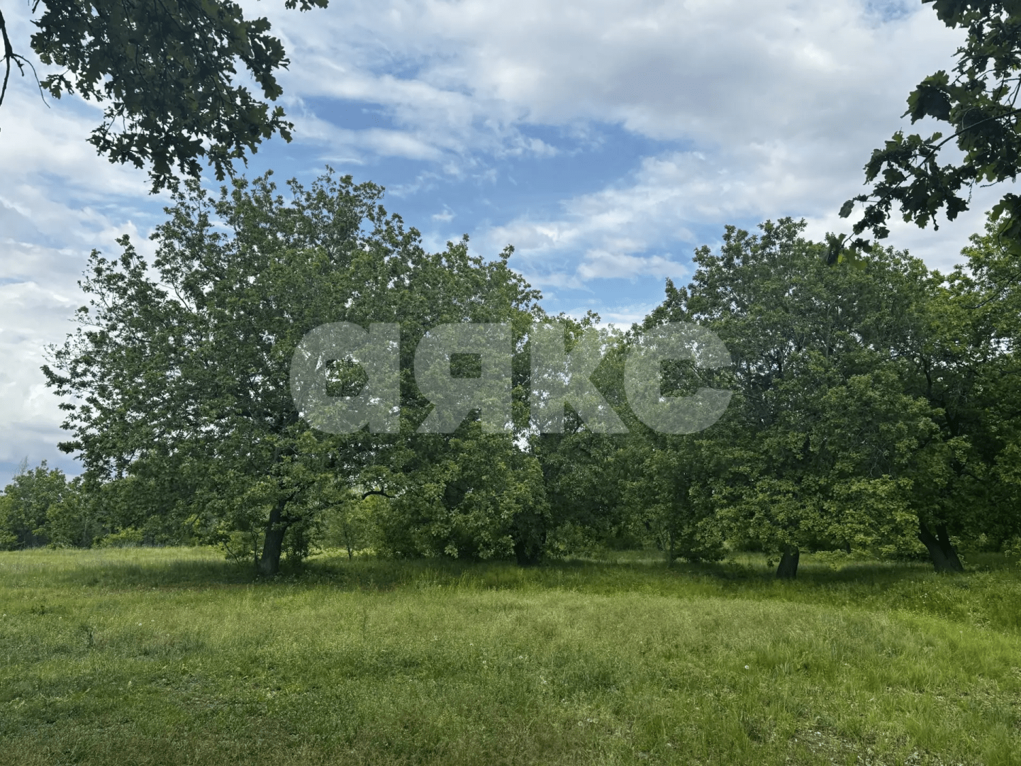 Фото №29: Коммерческая земля 8.8 сот. - Зональный, ул. Центральная, 27