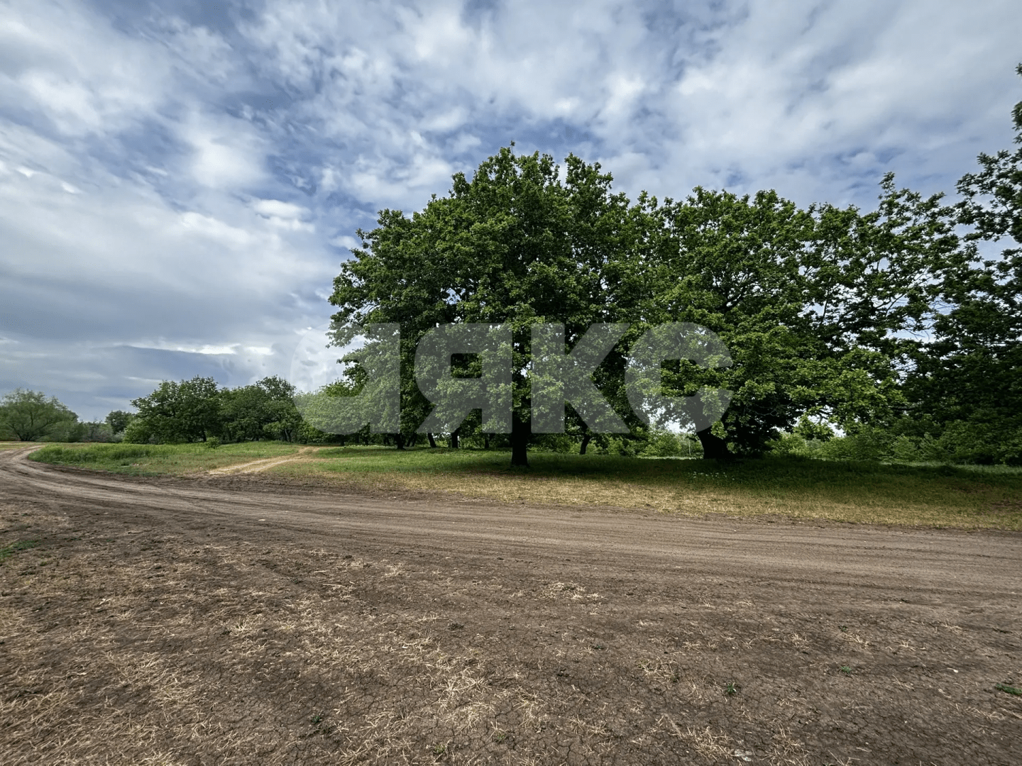 Фото №31: Коммерческая земля 8.8 сот. - Зональный, ул. Центральная, 27