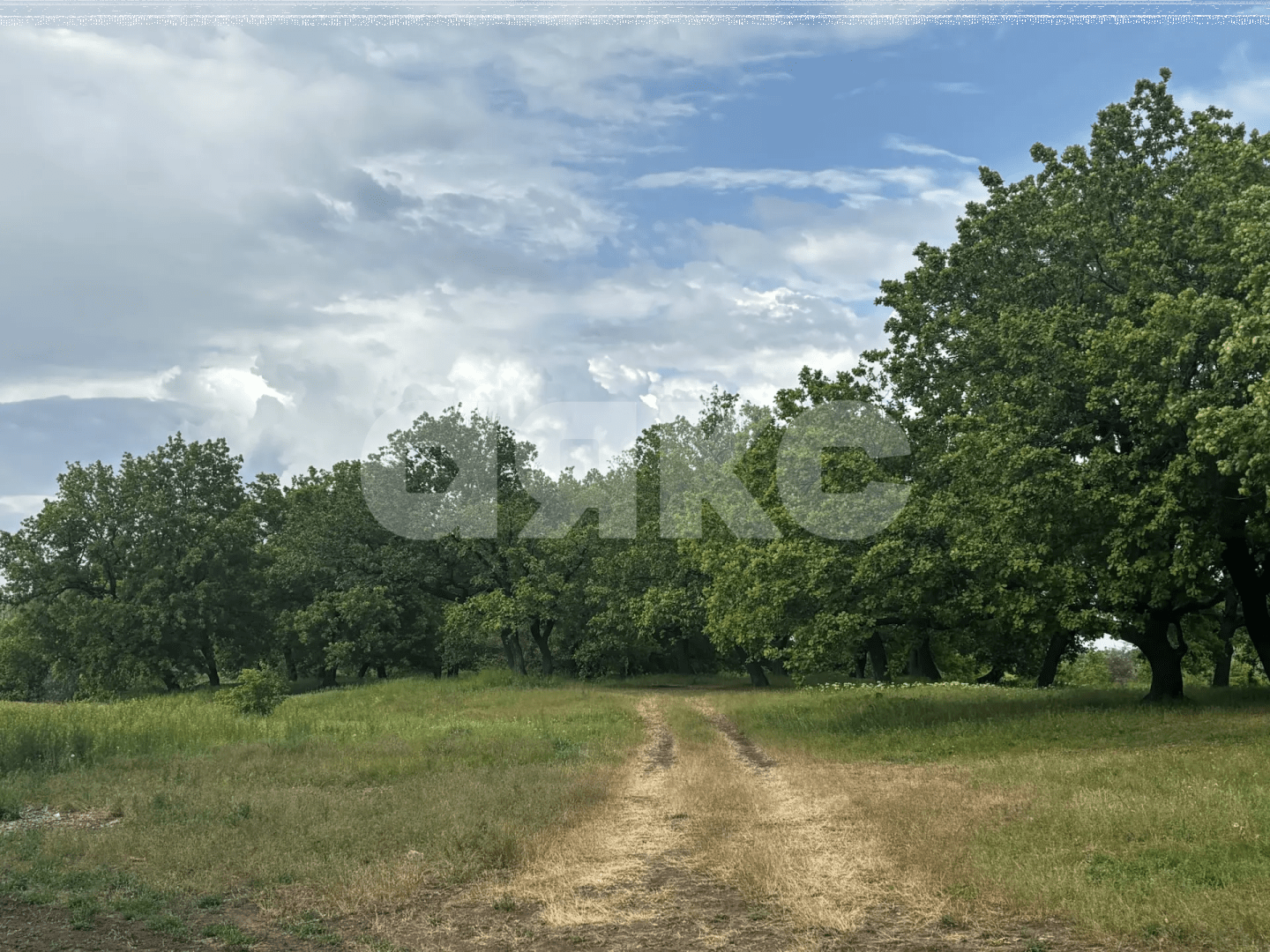 Фото №34: Коммерческая земля 8.8 сот. - Зональный, ул. Центральная, 27