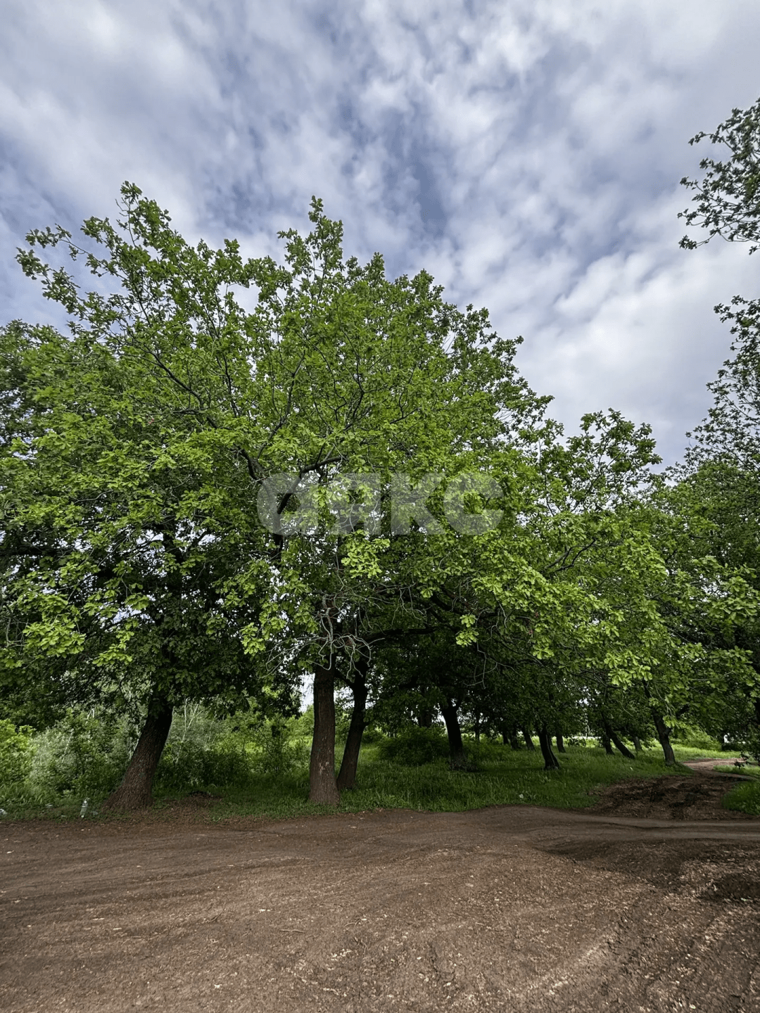 Фото №25: Коммерческая земля 8.8 сот. - Зональный, ул. Центральная, 27