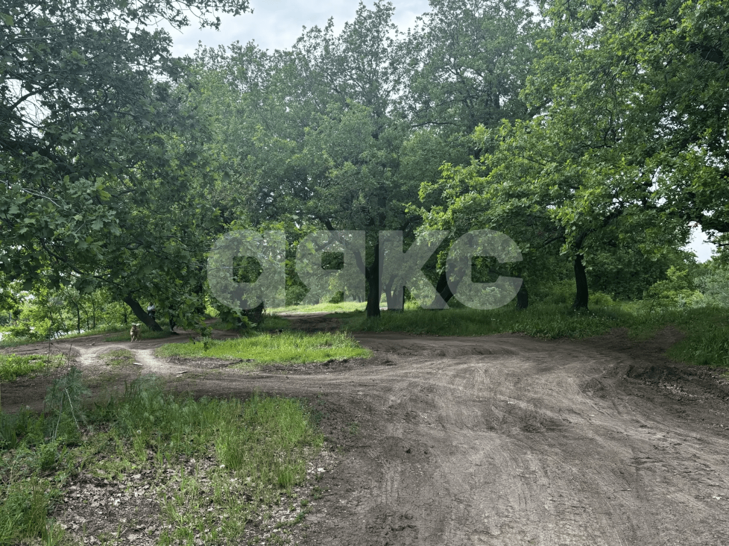 Фото №6: Коммерческая земля 8.8 сот. - Зональный, ул. Центральная, 27
