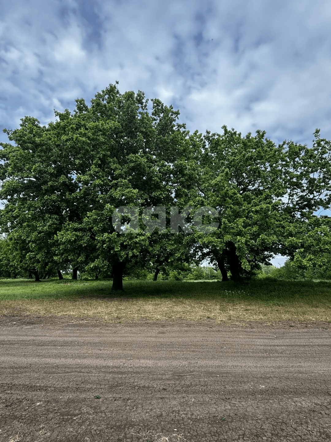 Фото №3: Коммерческая земля 8.8 сот. - Зональный, ул. Центральная, 27