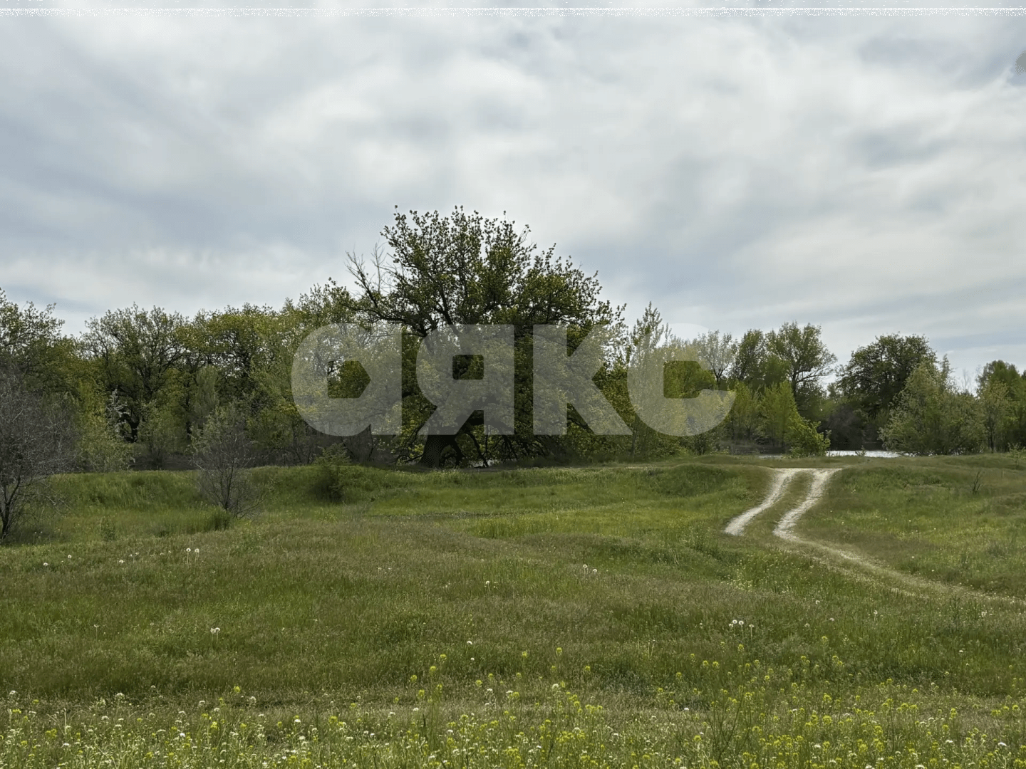 Фото №20: Коммерческая земля 8.8 сот. - Зональный, ул. Центральная, 27