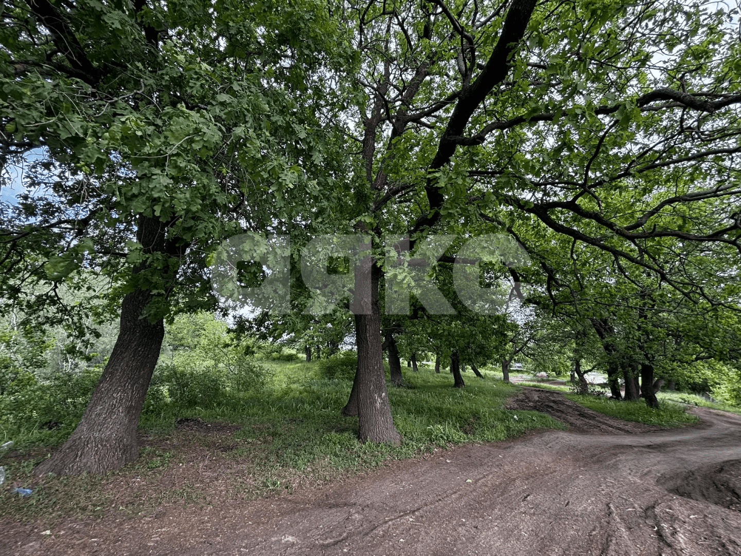 Фото №22: Коммерческая земля 8.8 сот. - Зональный, ул. Центральная, 27