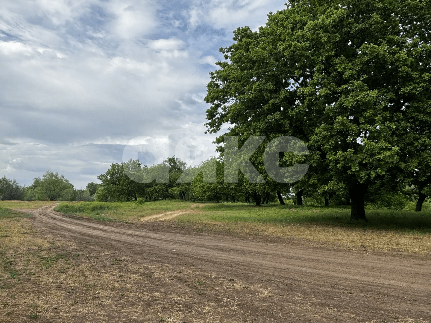 Фото №33: Коммерческая земля 8.8 сот. - Зональный, ул. Центральная, 27