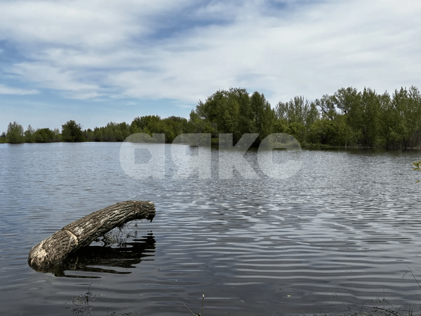 Фото №16: Коммерческая земля 8.8 сот. - Зональный, ул. Центральная, 27