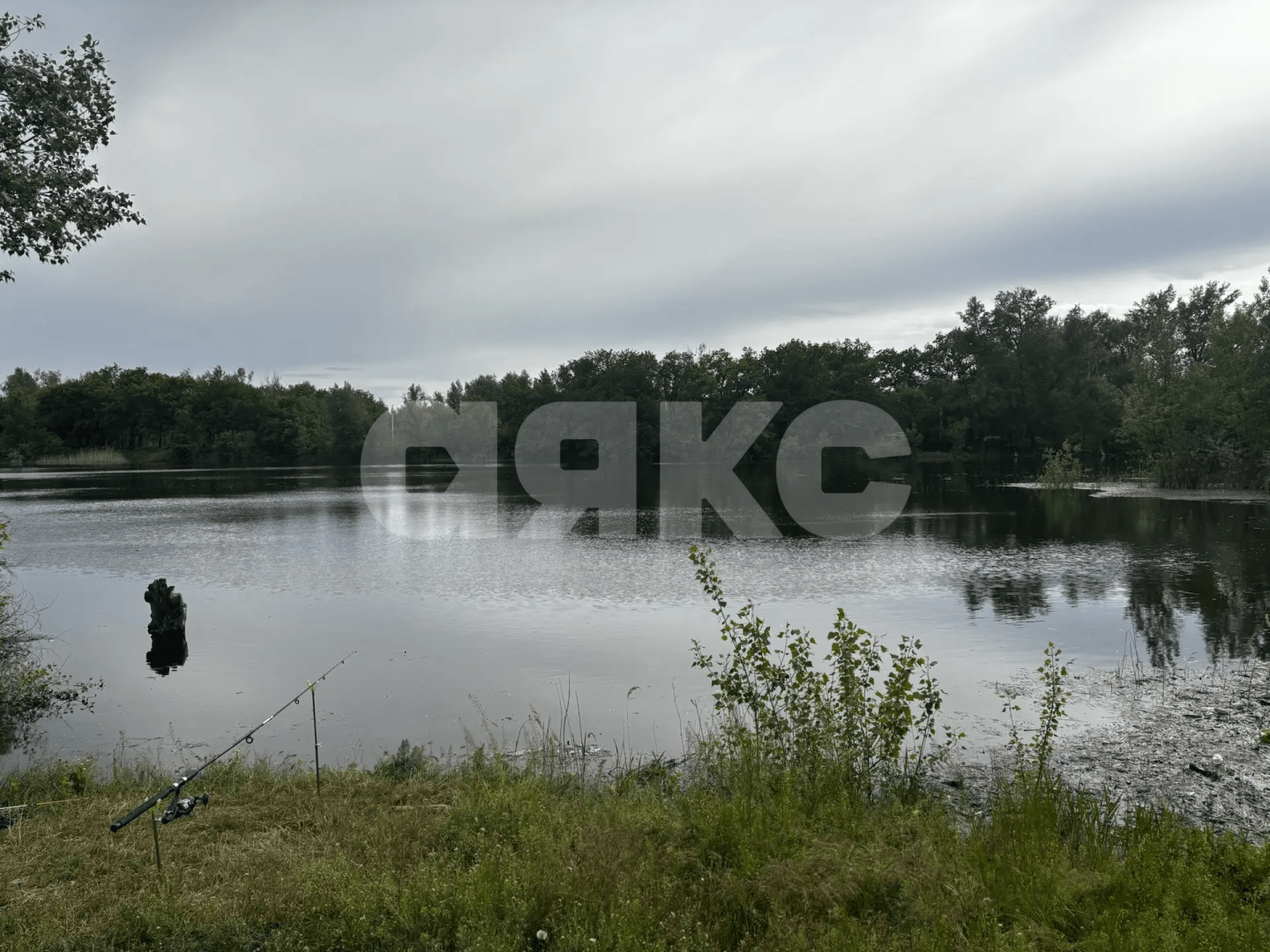 Фото №2: Коммерческая земля 8.8 сот. - Зональный, ул. Центральная, 27