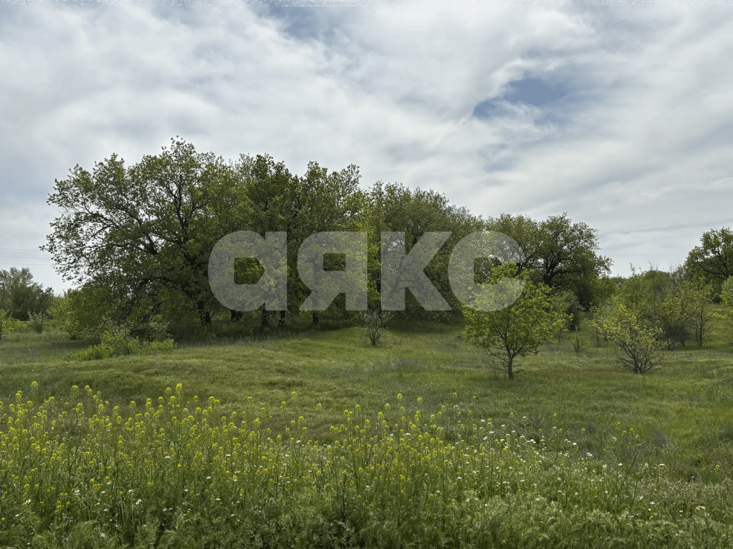 Фото №21: Коммерческая земля 8.8 сот. - Зональный, ул. Центральная, 27