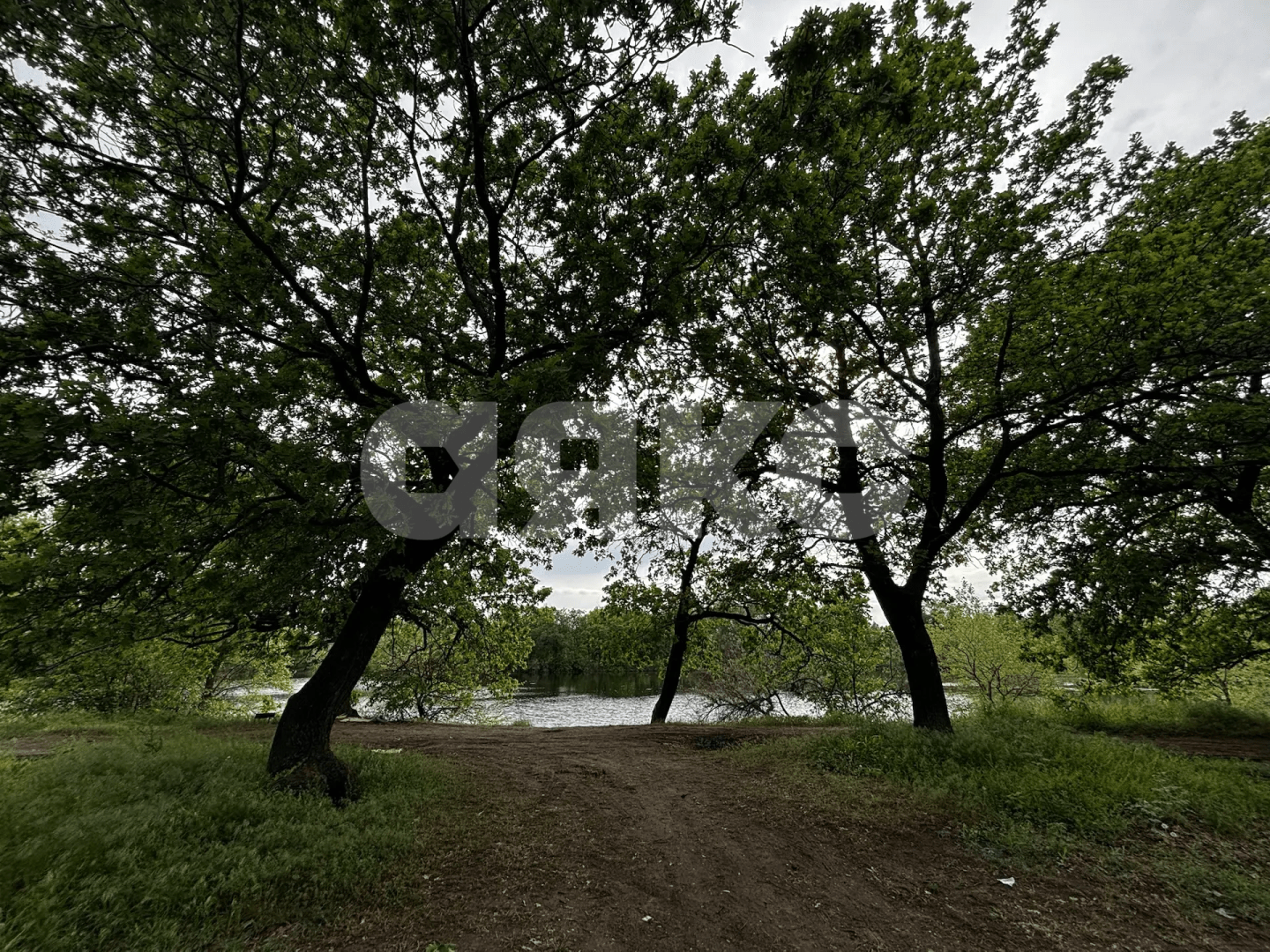 Фото №28: Коммерческая земля 8.8 сот. - Зональный, ул. Центральная, 27
