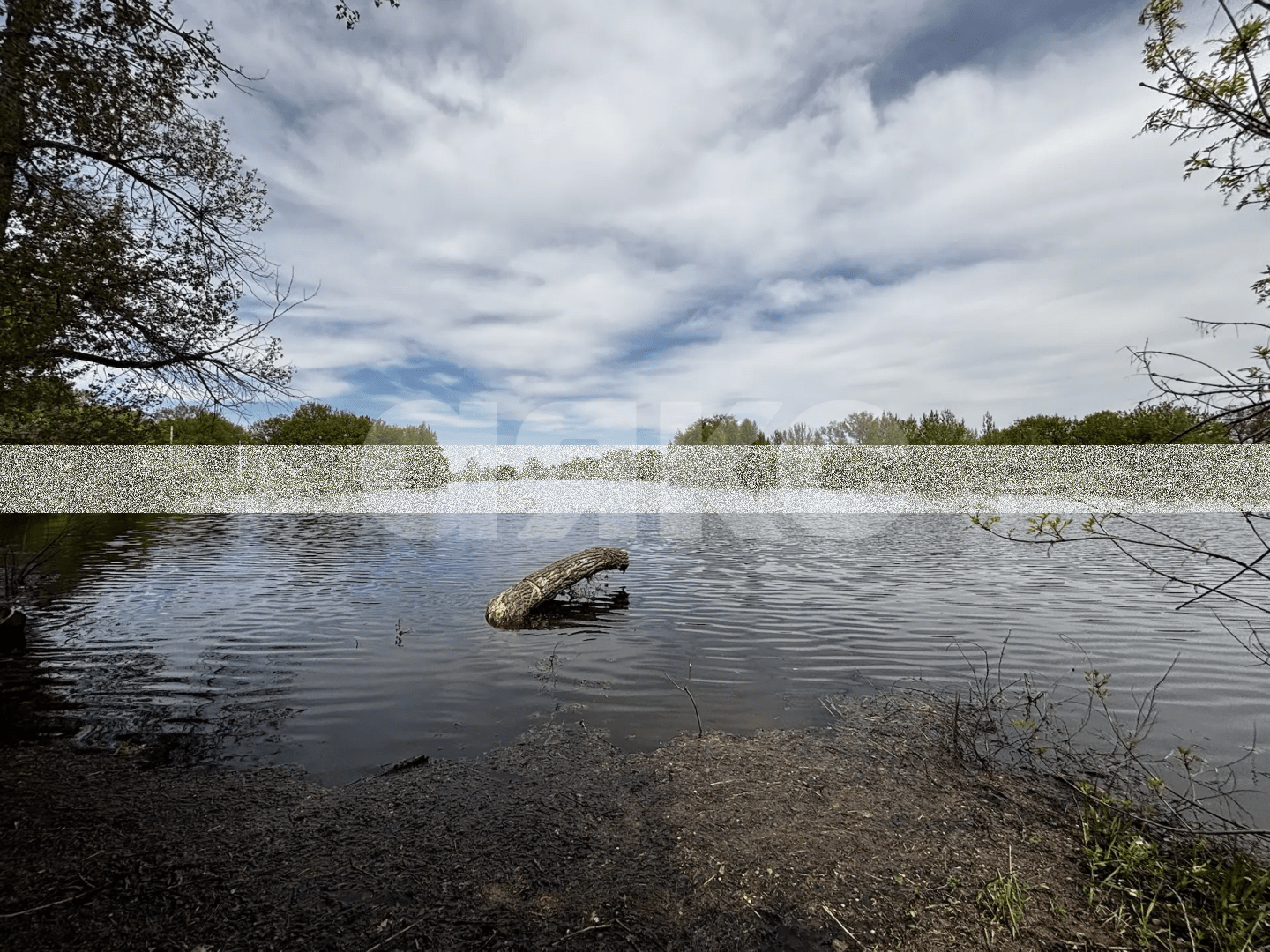 Фото №15: Коммерческая земля 8.8 сот. - Зональный, ул. Центральная, 27
