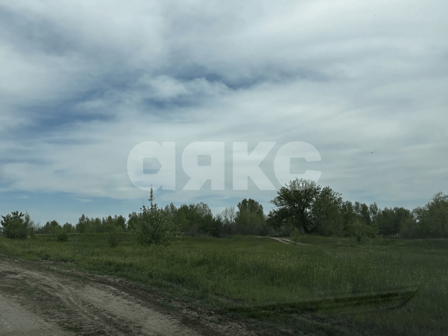 Фото №19: Коммерческая земля 8.8 сот. - Зональный, ул. Центральная, 27