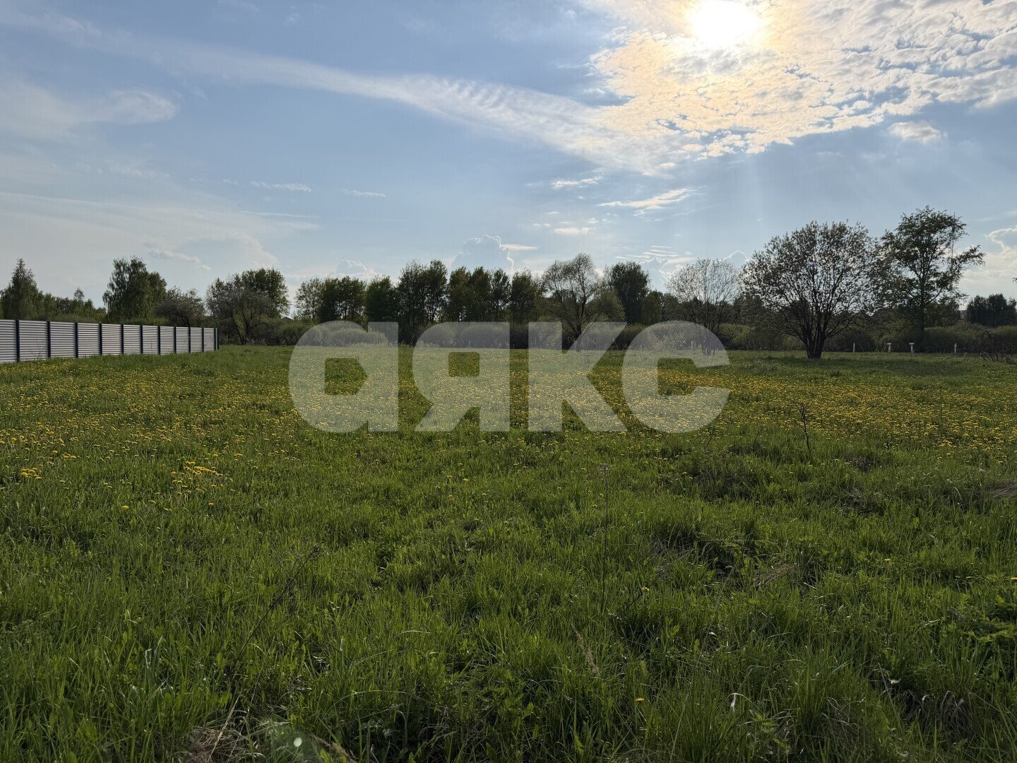 Фото №8: Личное подсобное хозяйство 12 сот. - Сафоново, ул. 2-я Совхозная