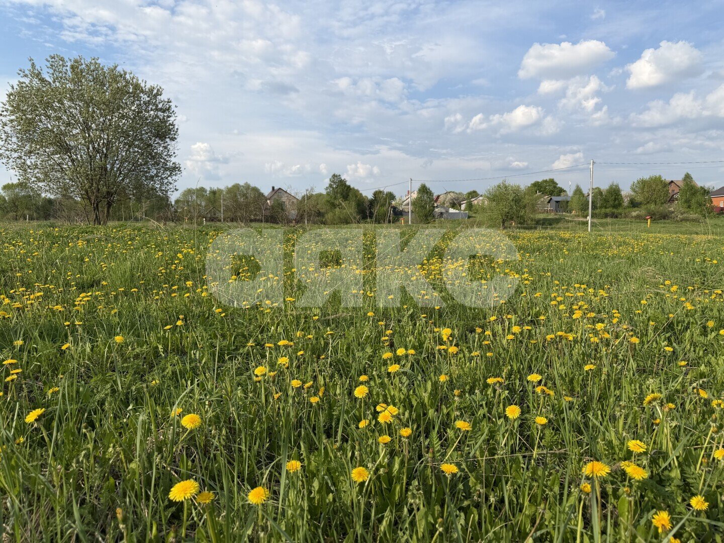 Фото №6: Личное подсобное хозяйство 12 сот. - Сафоново, ул. 2-я Совхозная
