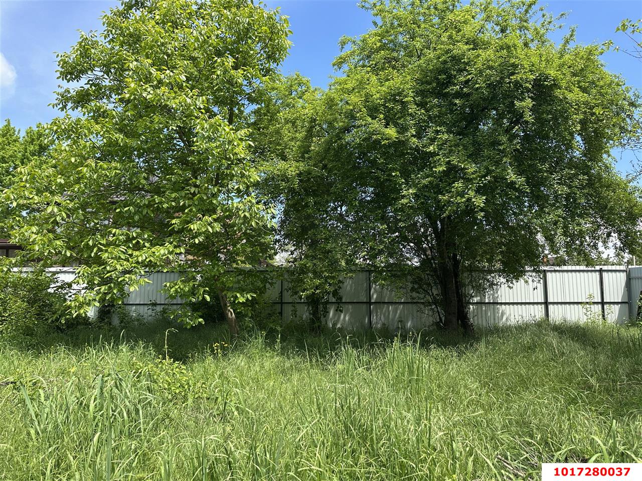 Фото №3: Дом 30 м² + 4 сот. - Елизаветинская, Прикубанский внутригородской округ, ст Стекольщик, ул. Вишнёвая, 16
