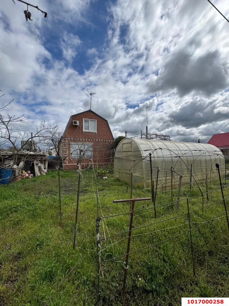 Фото №19: Дача 47 м² + 8 сот. - Кубанское Яблоко, мкр. Прикубанский внутригородской округ, ул. Виноградная, 44