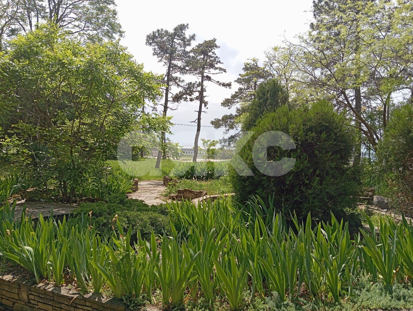 Фото №10: Студия 17 м² - Анапа, ул. Кирова, 34