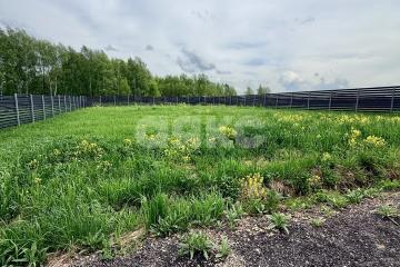 Фото №1: Дачное некоммерческое партнерство - Салтыково, 