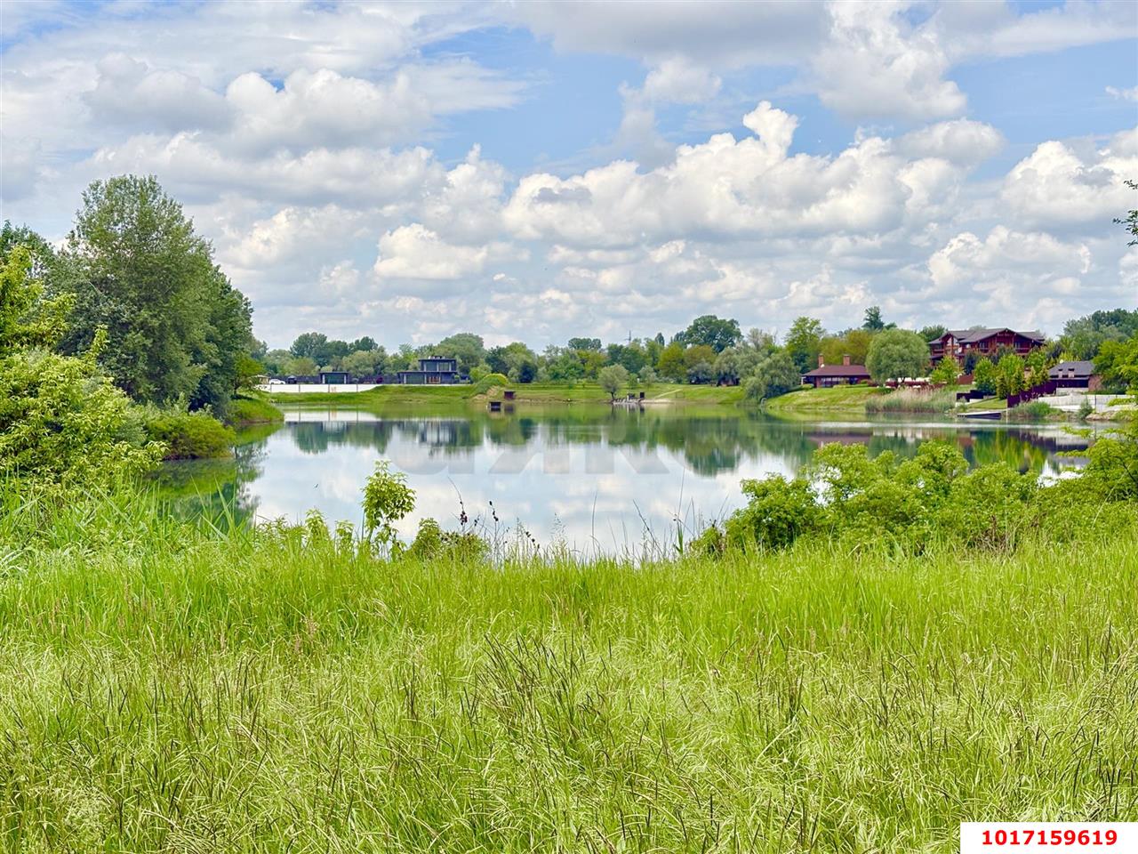 Фото №5: Личное подсобное хозяйство - СНТ Чистые Пруды